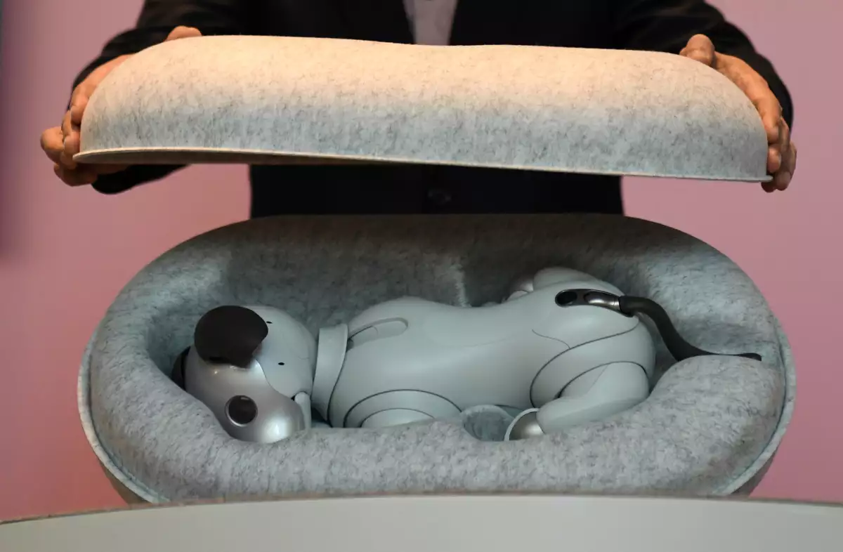 Aibo
