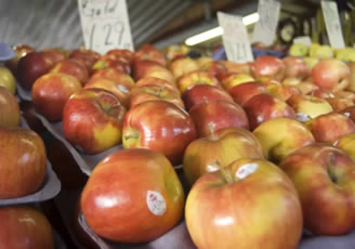 La OCDE destacó que los alimentos en México tuvieron un incremento de 2.8%. (Foto: Photos to go)