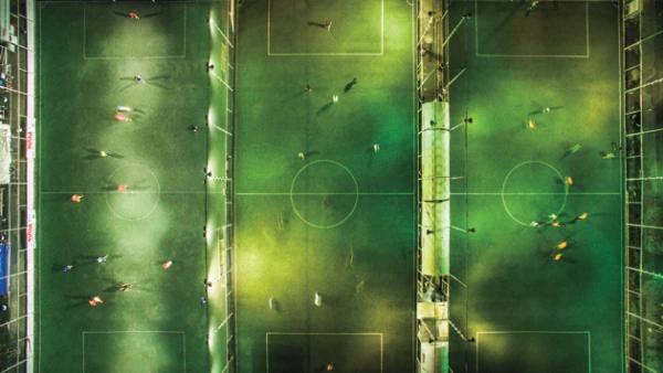 Las canchas de la Alberca Olímpica (Roberto Hernández)