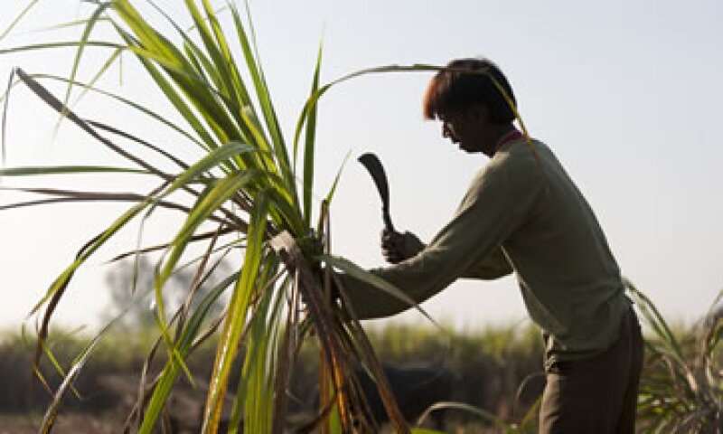 Los productores afirman que sus ganancias se verán impactadas en 1,000 mdd entre 2013 y 2014. (Foto: Getty Images)