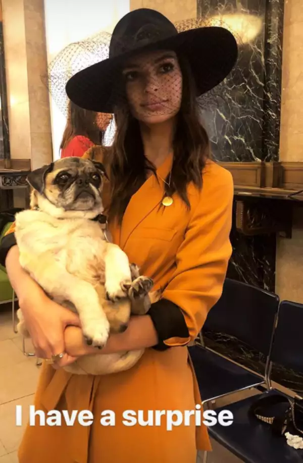 emrata civil.jpg