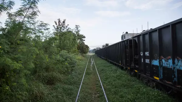 tren maya