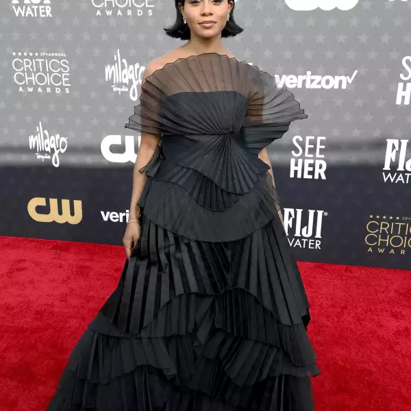 29th Annual Critics Choice Awards - Arrivals