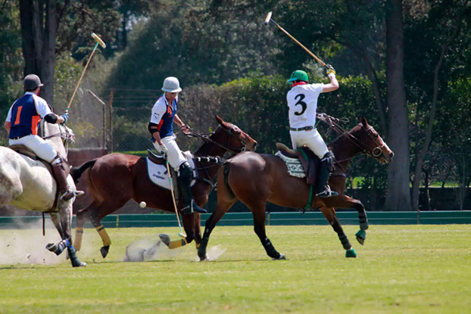 Juego de Polo México - España