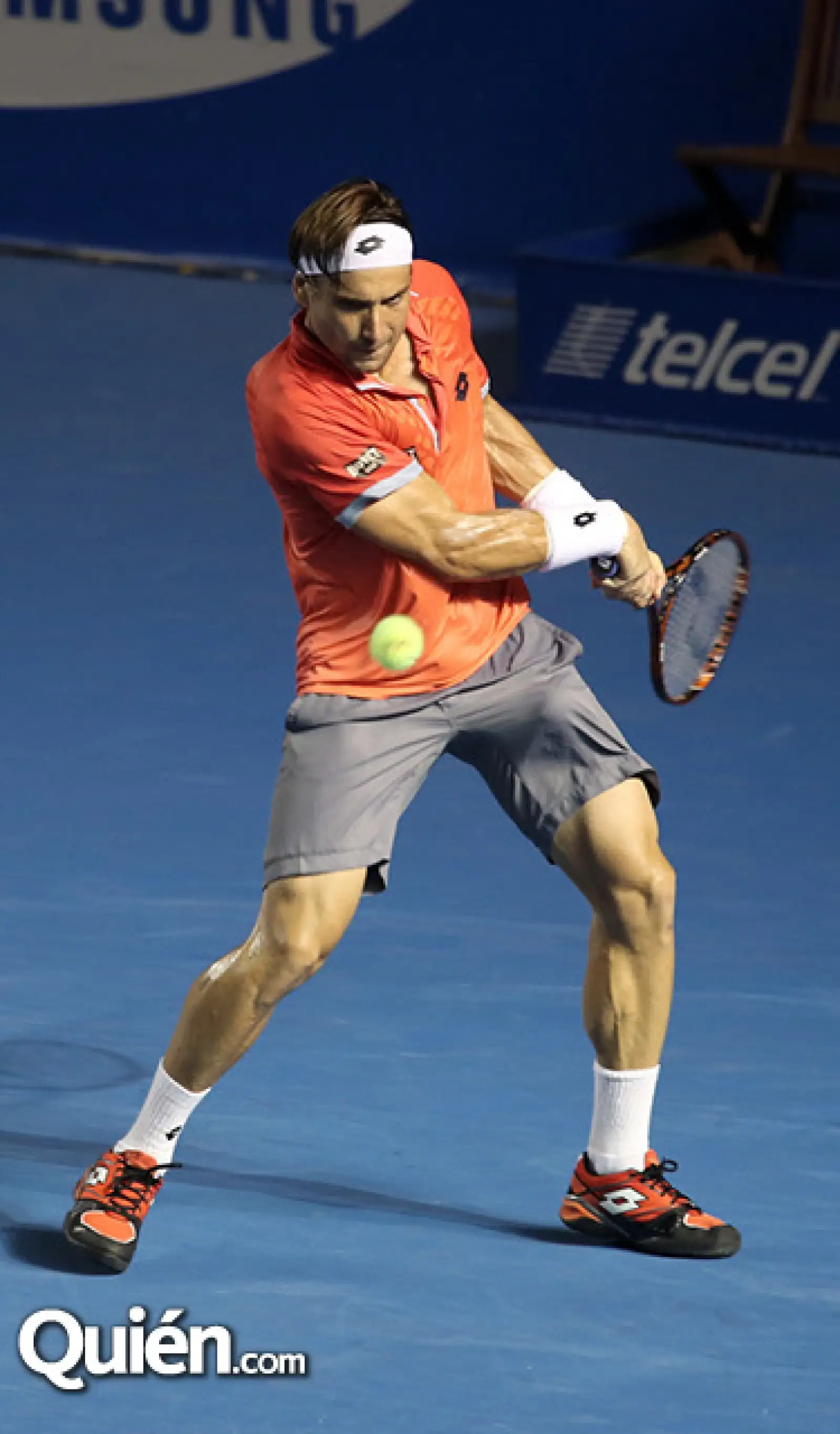 David Ferrer