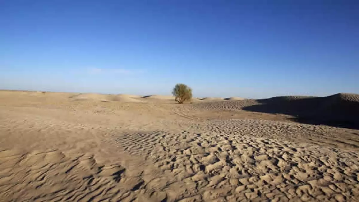 desierto del sahara