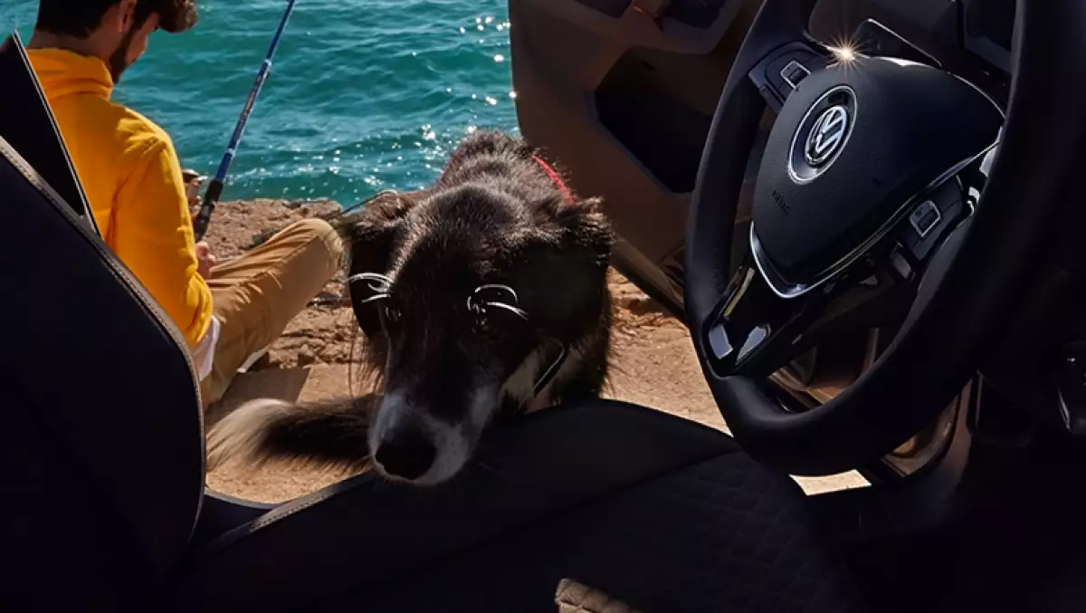 cuatro-ruedas-mejores-copilotos-perros