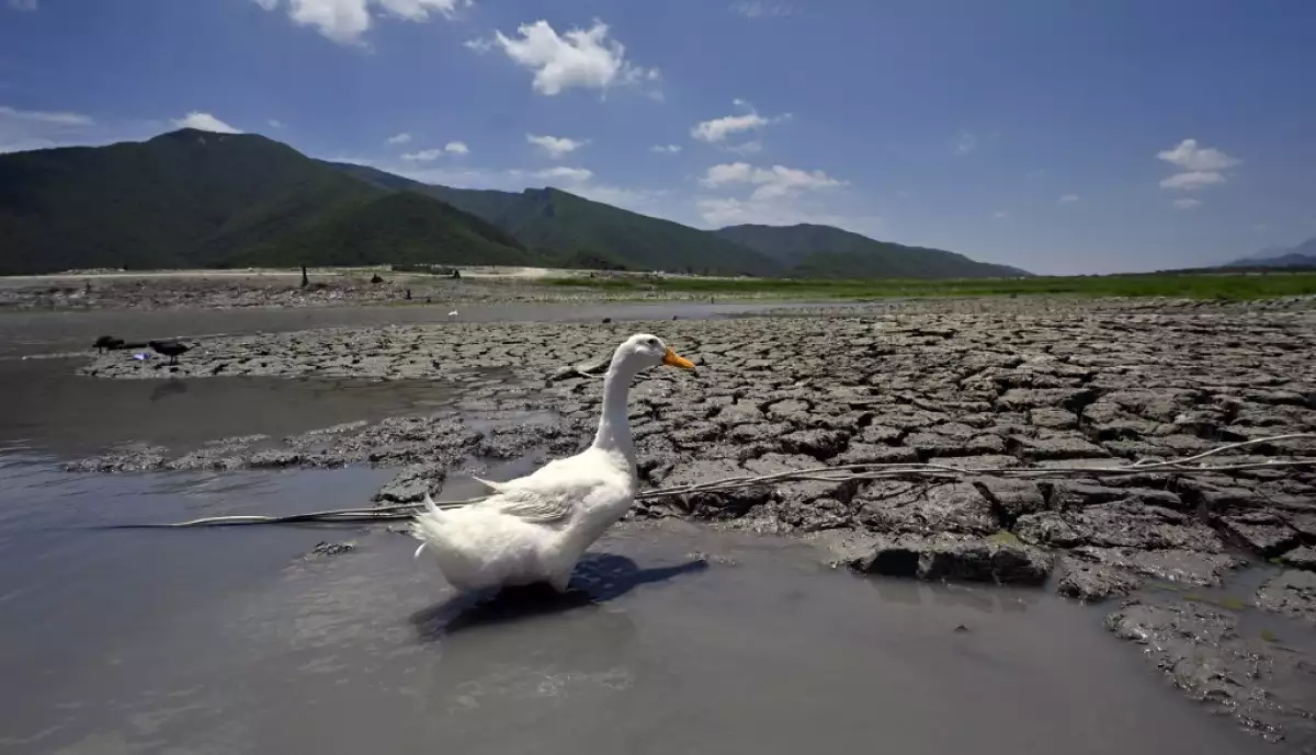 efectos cambio climático 