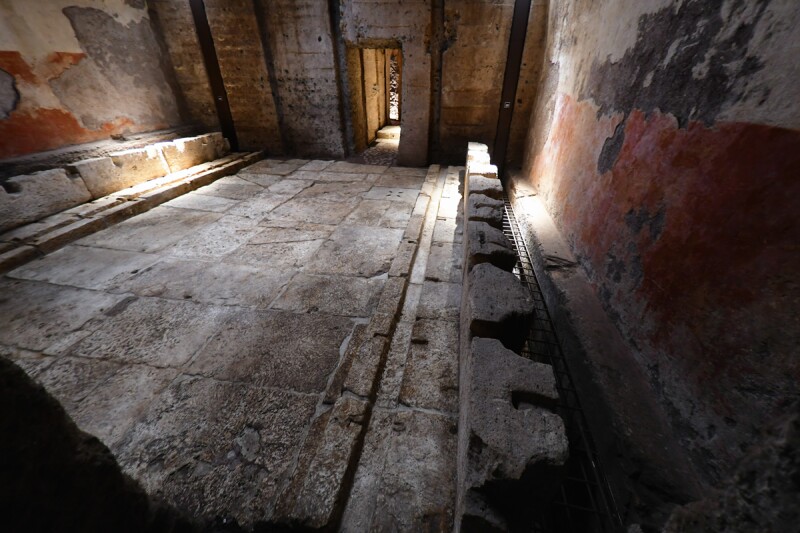 Domus Transitoria