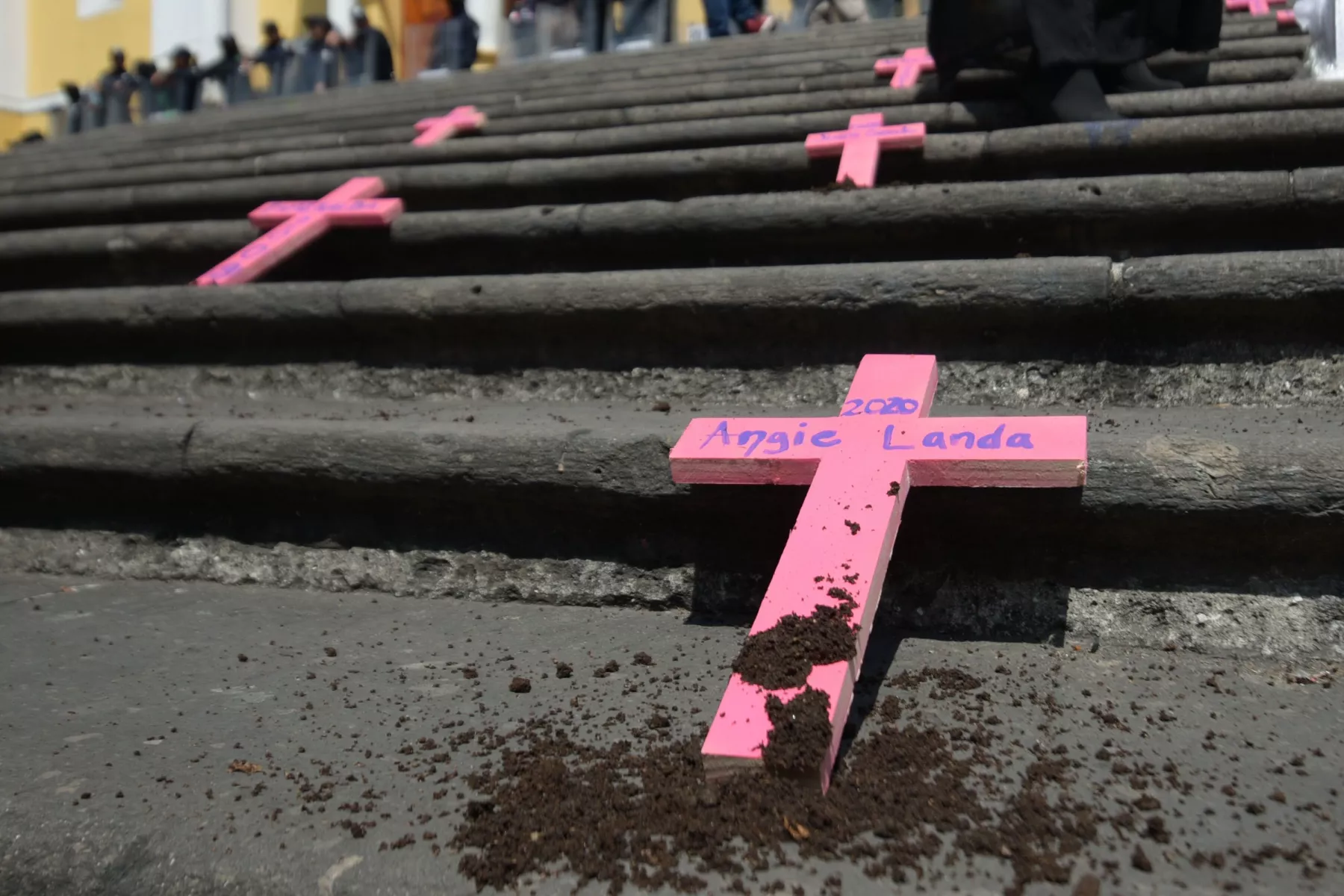 La activista Wendy López realizó el performance “Las Sin Nombre”, colocó cruces rosas con nombres de mujeres víctimas de feminicidio, en Xalapa.