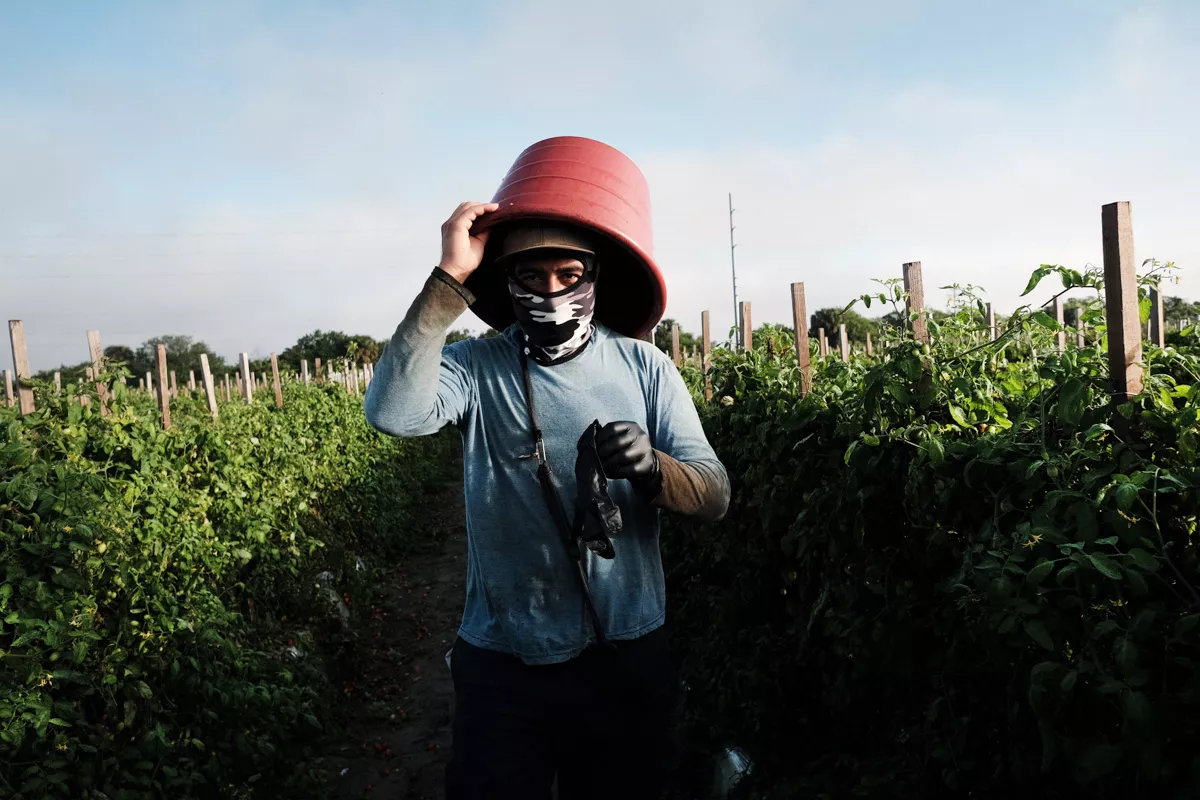 remesas a México noviembre 2022