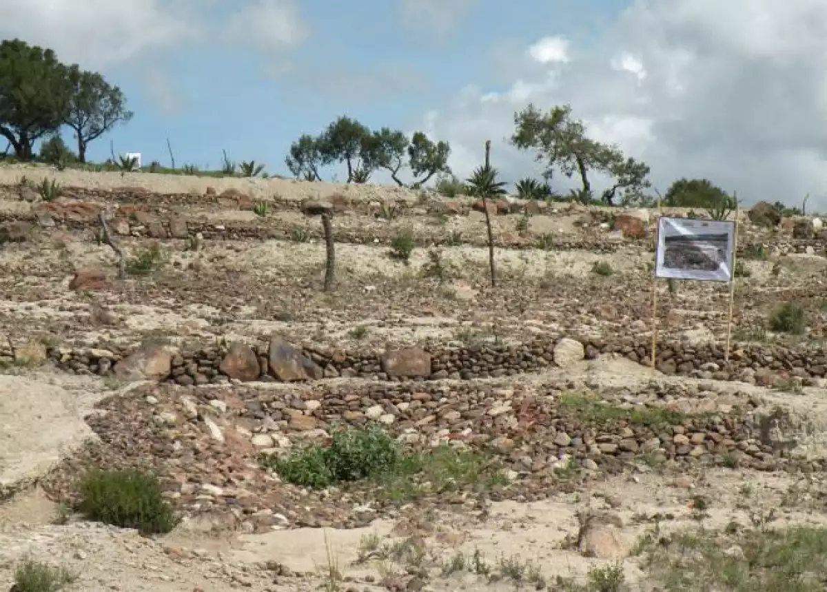 Suelo erosionado de Tlaxcala