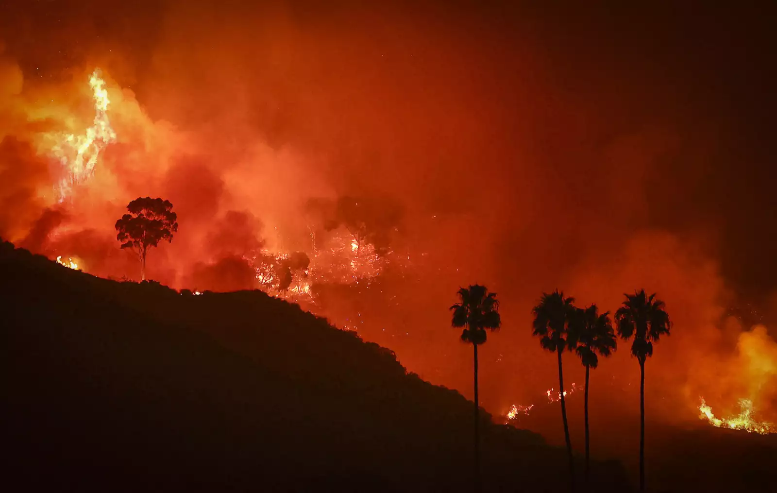 Franklin Fire Spreads Quickly 5 Miles North Of Downtown Malibu