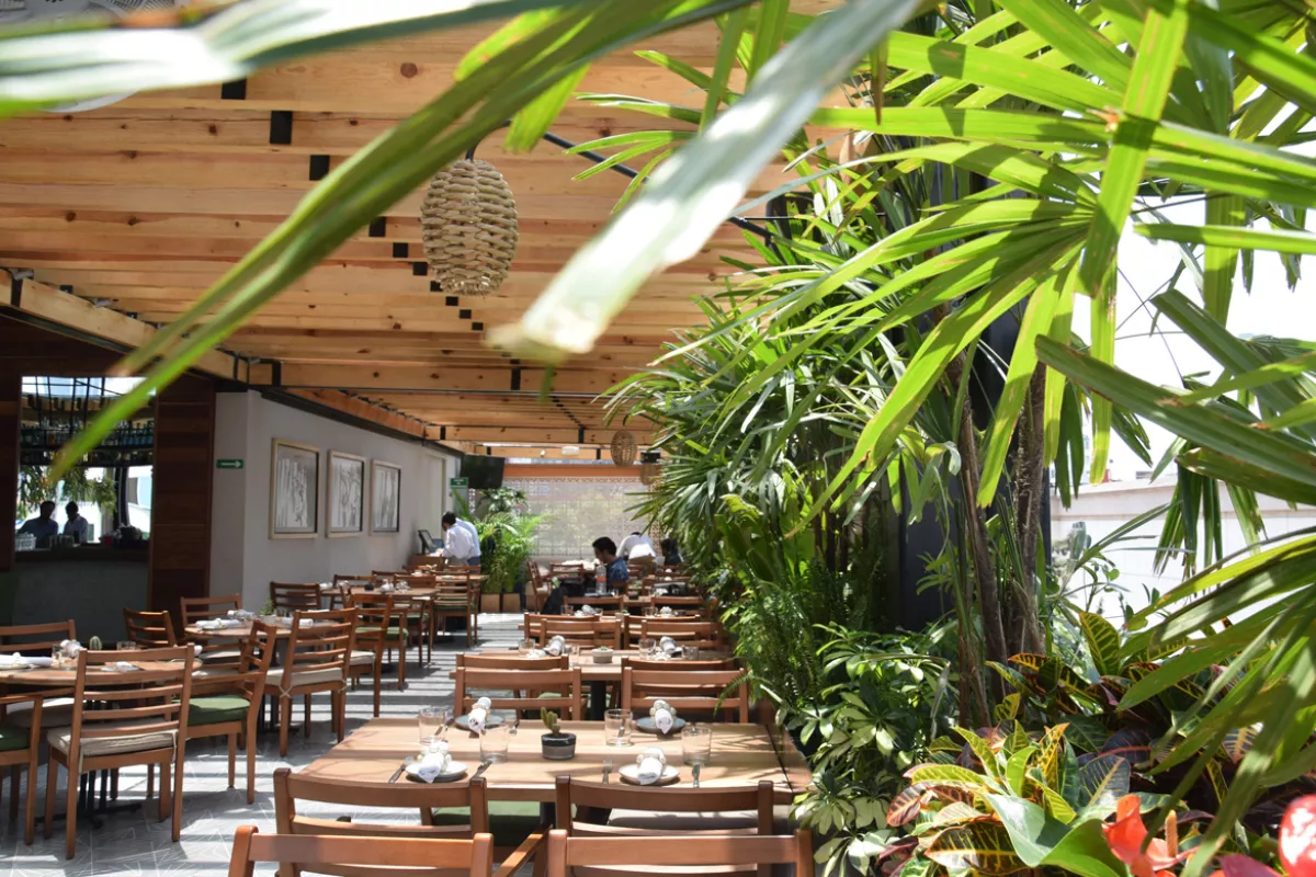 Restaurantes para curar la cruda