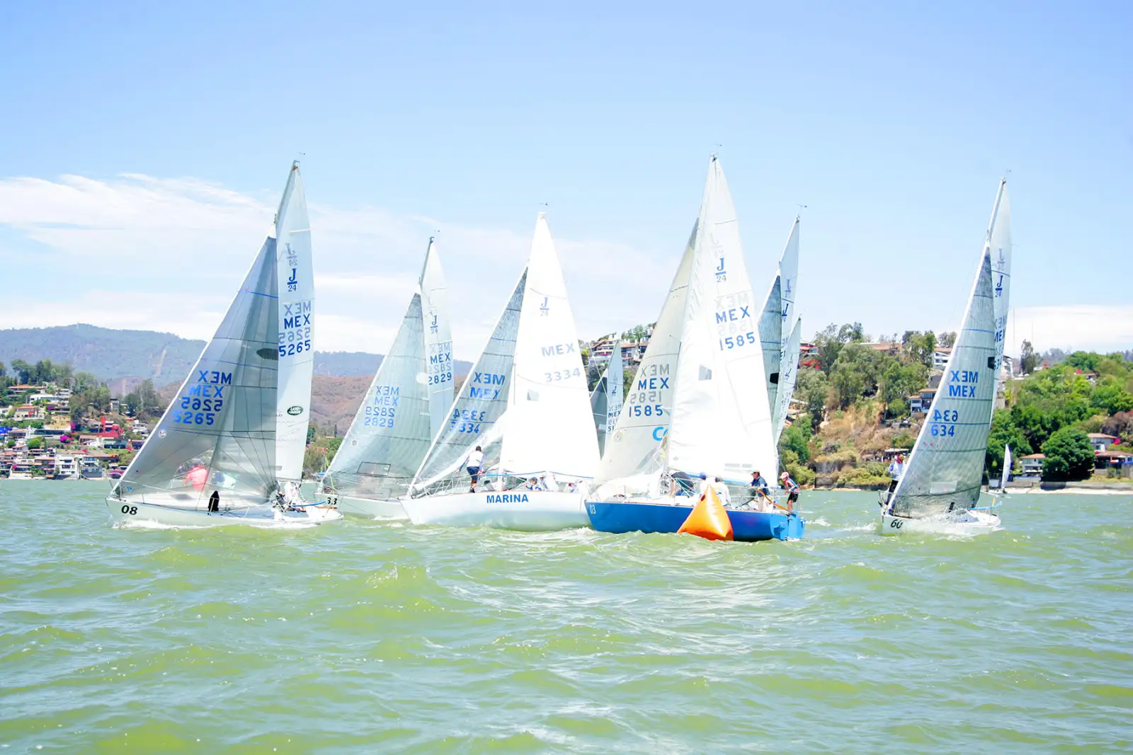 Copa Palacio 2017 