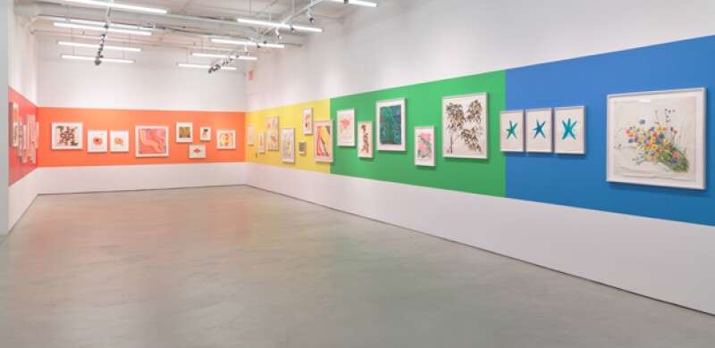 La obra de Vera Neumann.