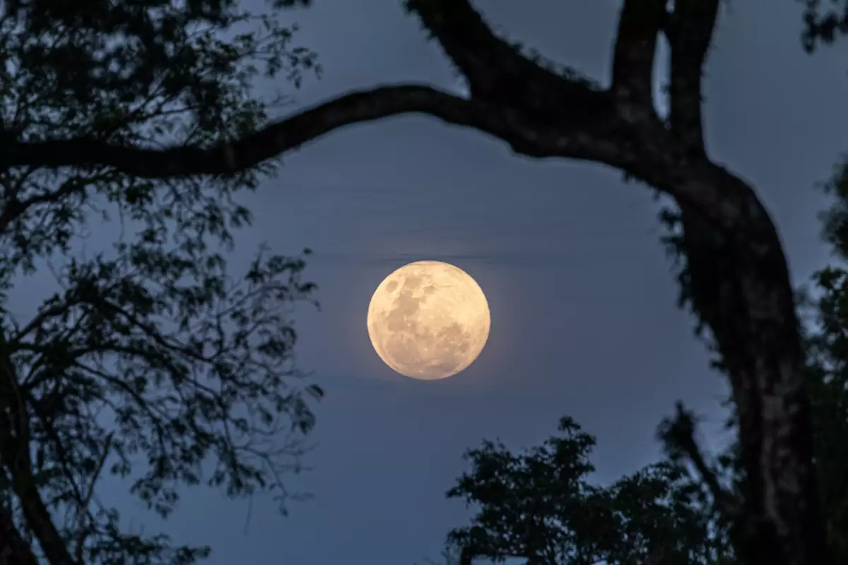 ¿Cuándo es Luna llena en agosto 2025 y por qué se le conoce como Luna de Esturión?