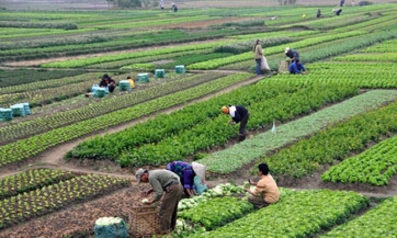 agricultores