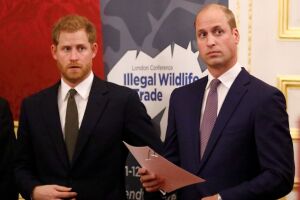 Príncipe Harry y príncipe William