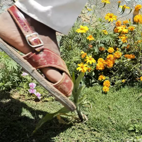 Los niños amuzgos provenientes de Guerrero, se enfocaron en sus costumbres y tradiciones.