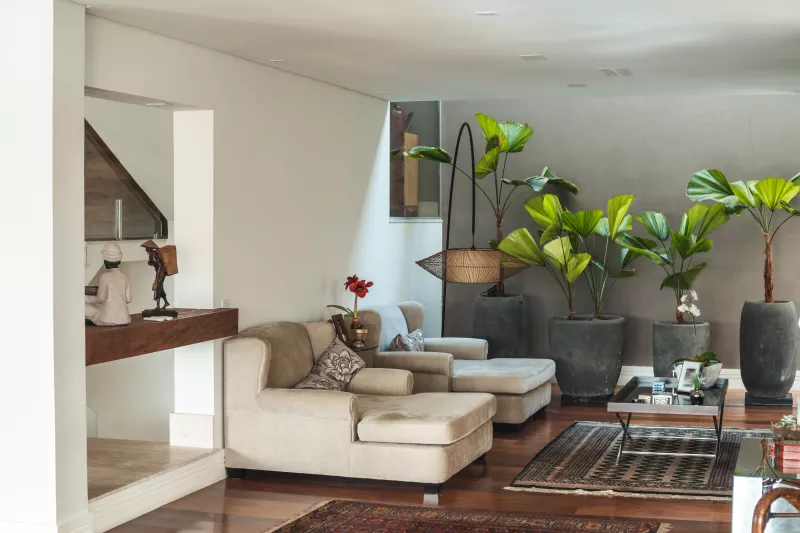 Interior of the living room