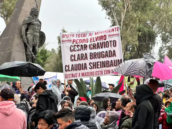 apoyo-cravioto.jpg