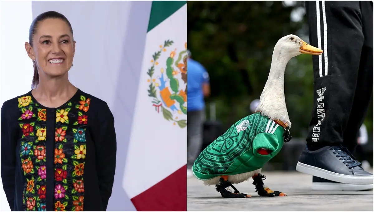 sheinbaum y pato mundialista