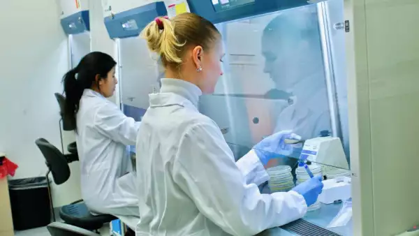 En los alimentos la biotecnología interviene en procesos como la fermentación y el desarrollo de nuevos productos donde la microencapsulación permite proteger microorganismos benéficos para mantener su viabilidad hasta llegar al lugar donde serán utilizados.