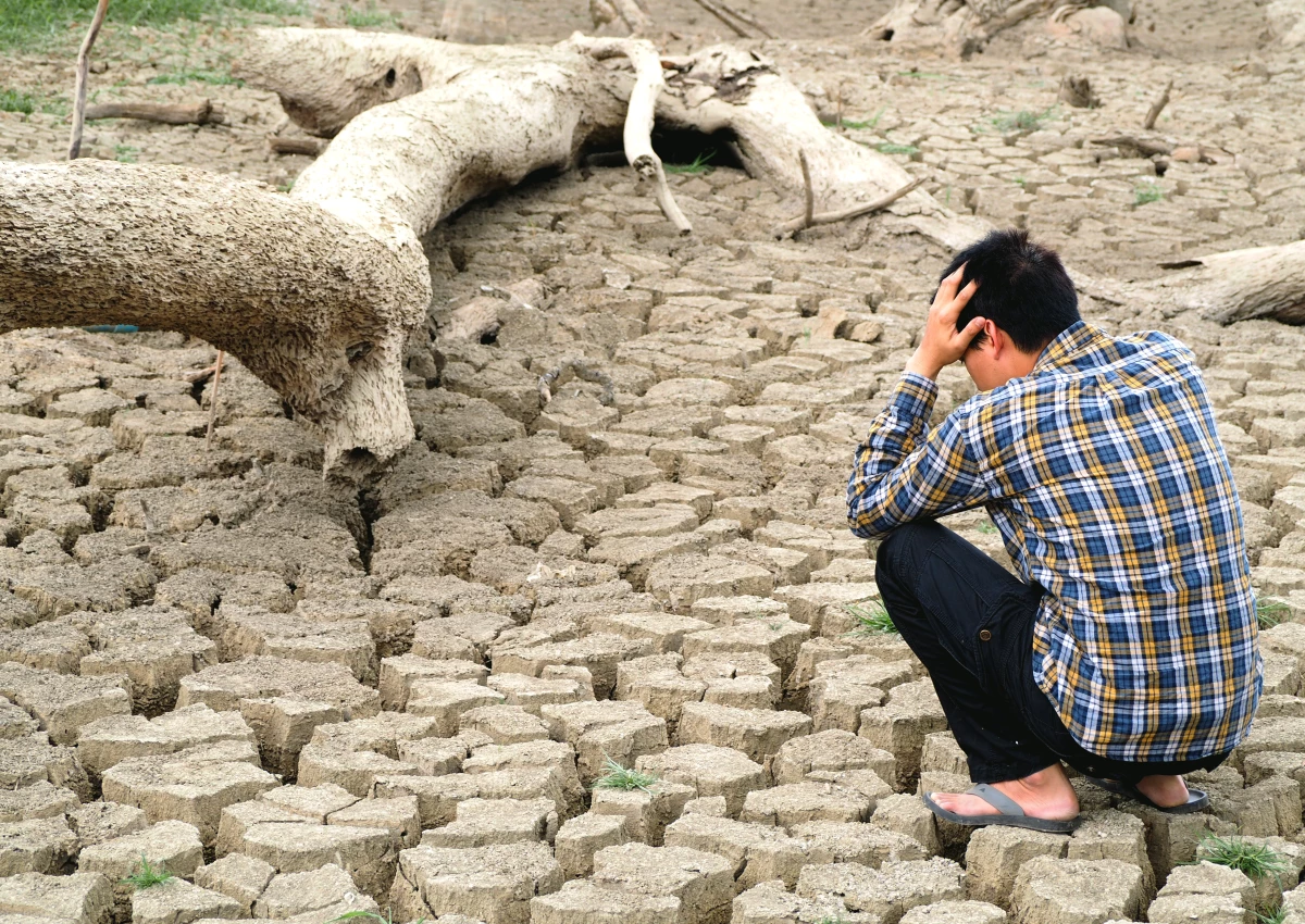 Cambio climático