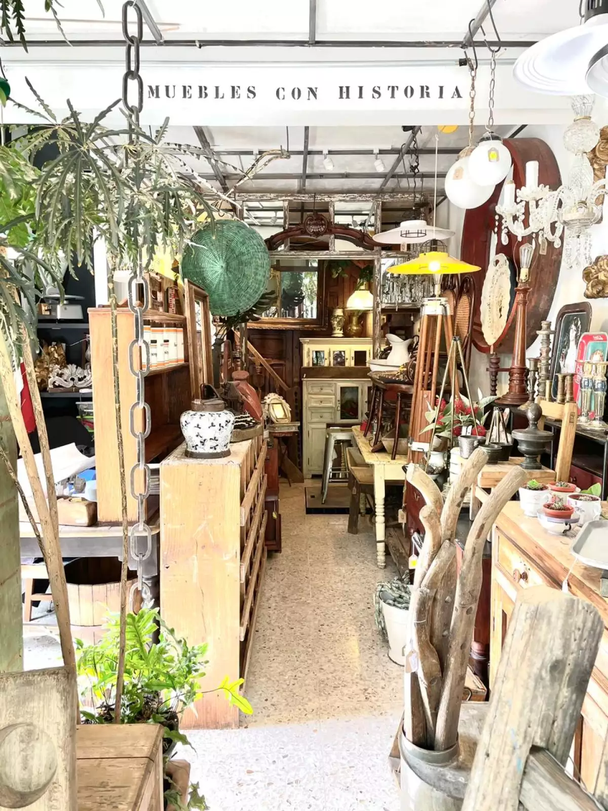 WhatsApp Image 2021-01-14 at 12.40.12.jpeg