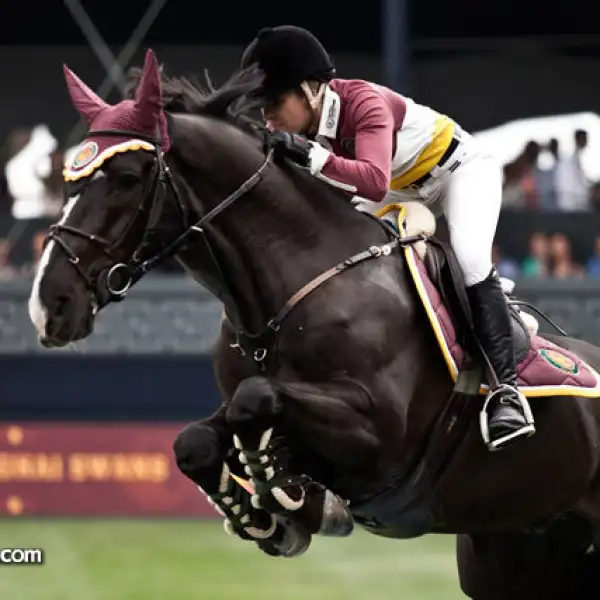 Edwina Tops Alexander