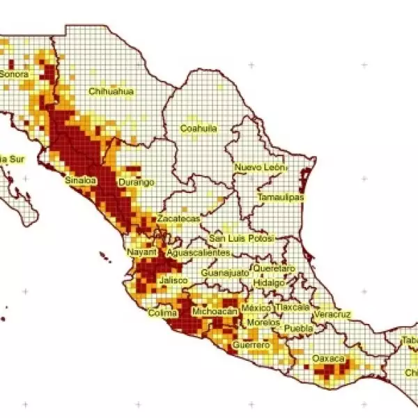 mapa marihuana