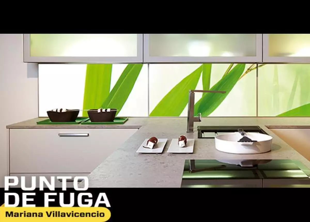 Mariana Villavicencio 