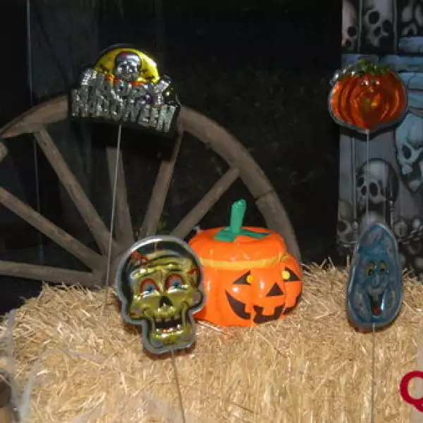 Aspectos. Fiesta de cumpleaños de Stephanie Dieter