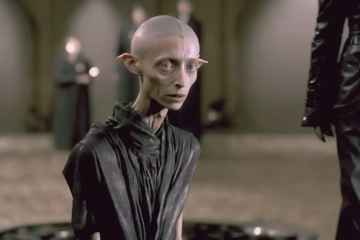 Harry Potter en Balenciaga-land