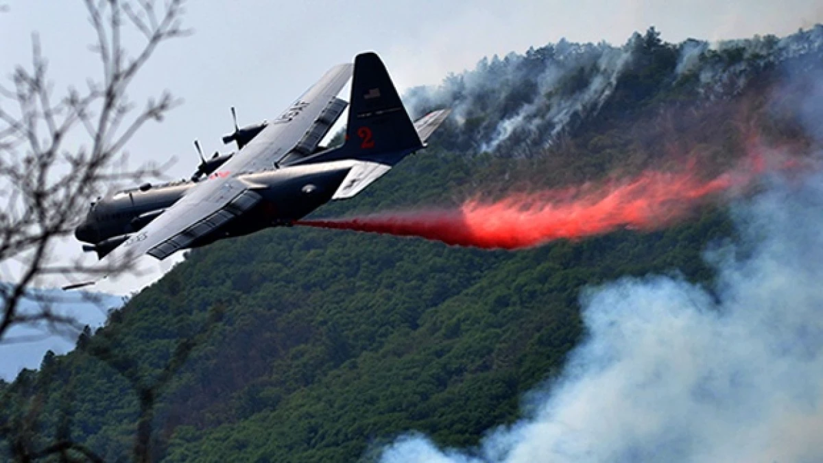 INCENDIO FORESTAL