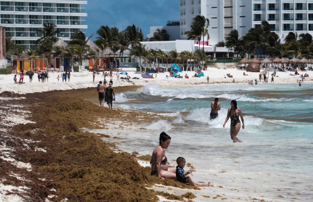 Puerto Juárez: Sargazo ahuyenta turismo y bañistas
