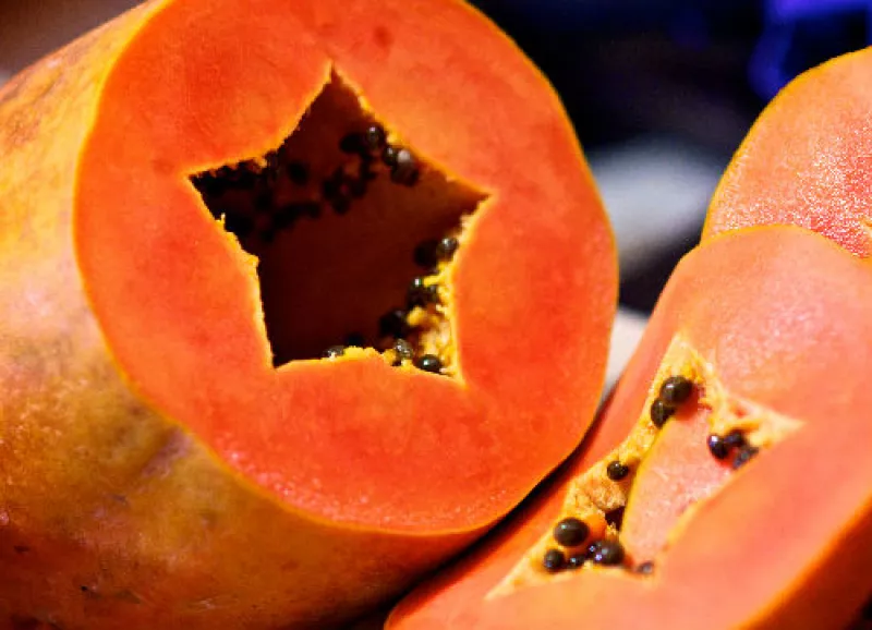 papaya maradol