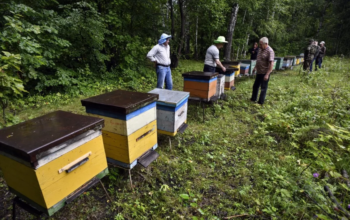 Mejor uso de las tierras