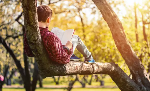 Cute boy reading a book sitting in the park at sunset