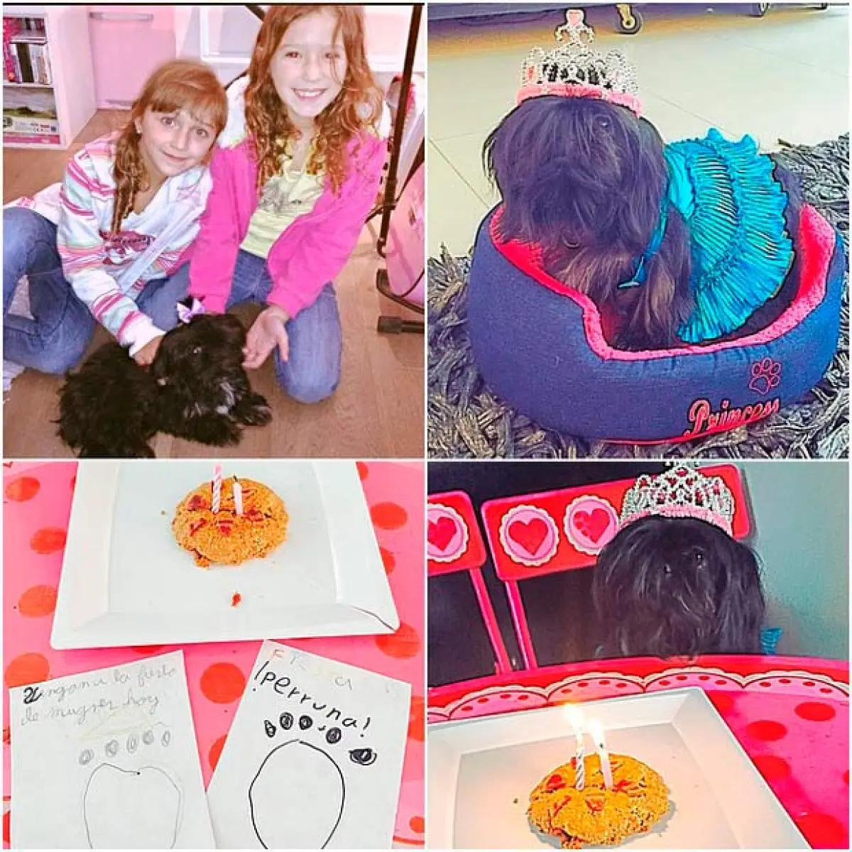 Tras el éxito de la presentación de Erik, la feliz familia festejó el cumpleaños número dos de su mascota.