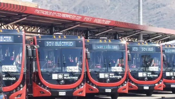 metrobus-electricos-linea3.jpeg