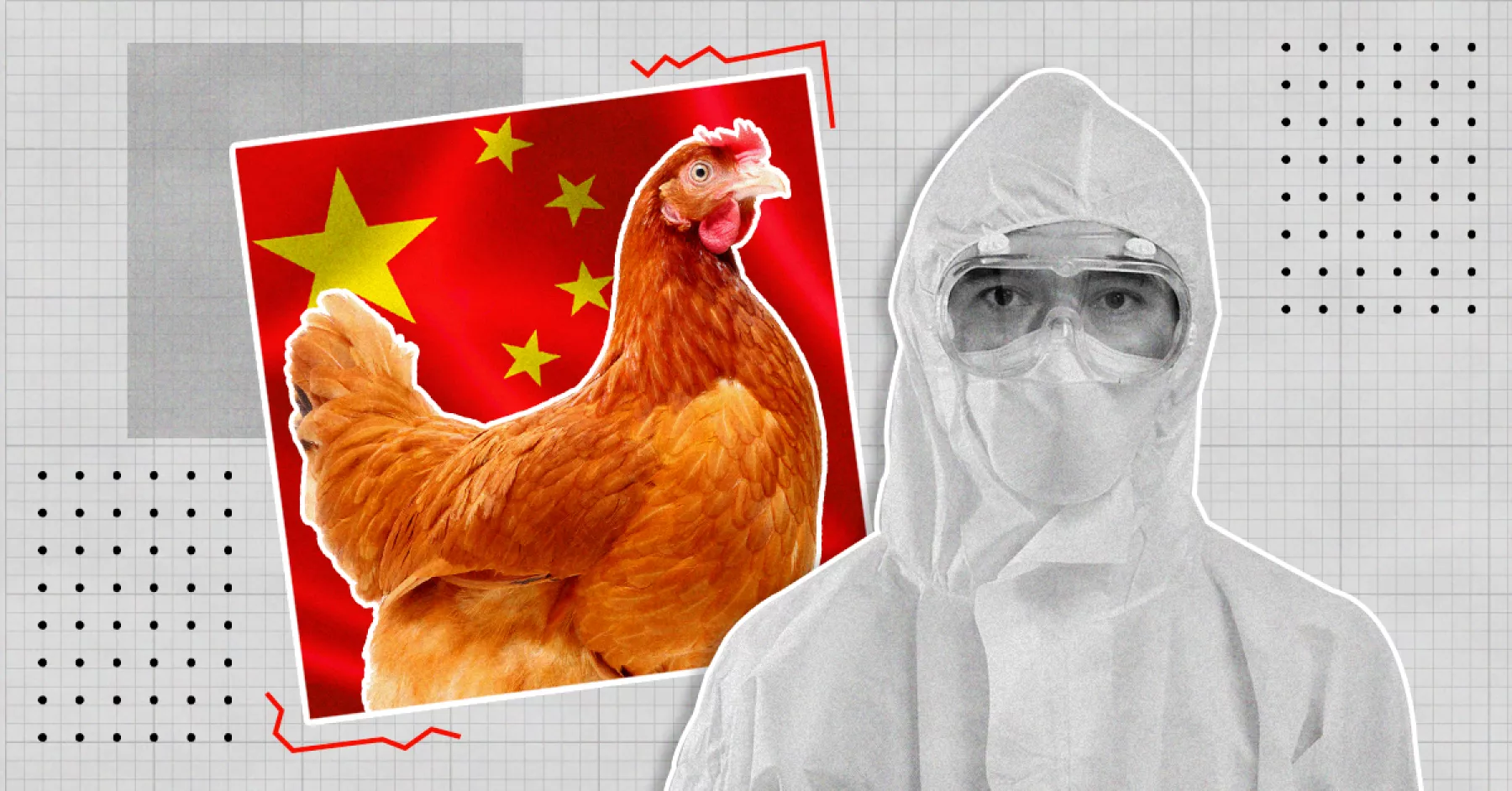 Una gallina con un fondo de la bandera china y un hombre vestido con un traje de protección sanitaria. 