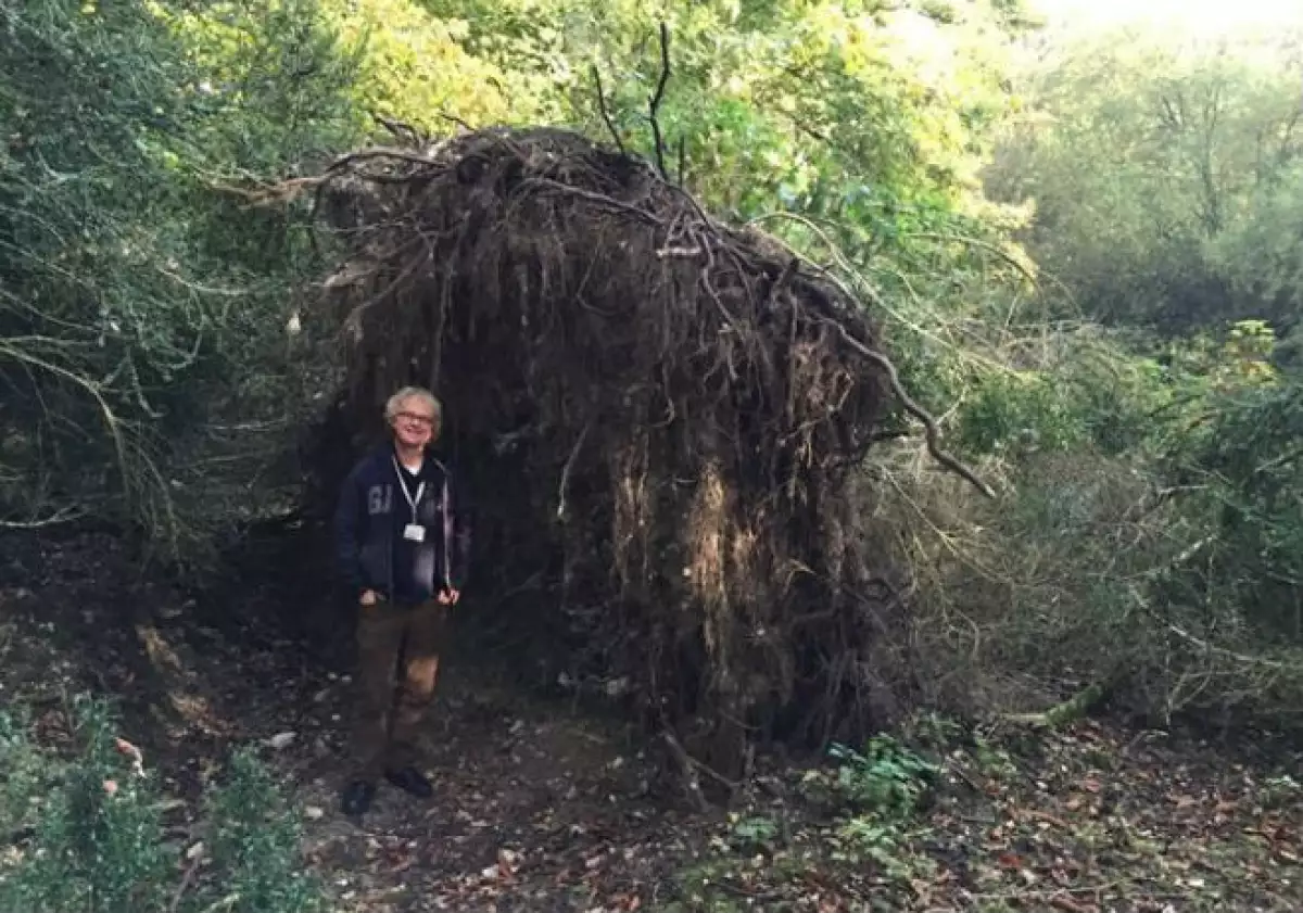 casa_ecologica_stonehenge