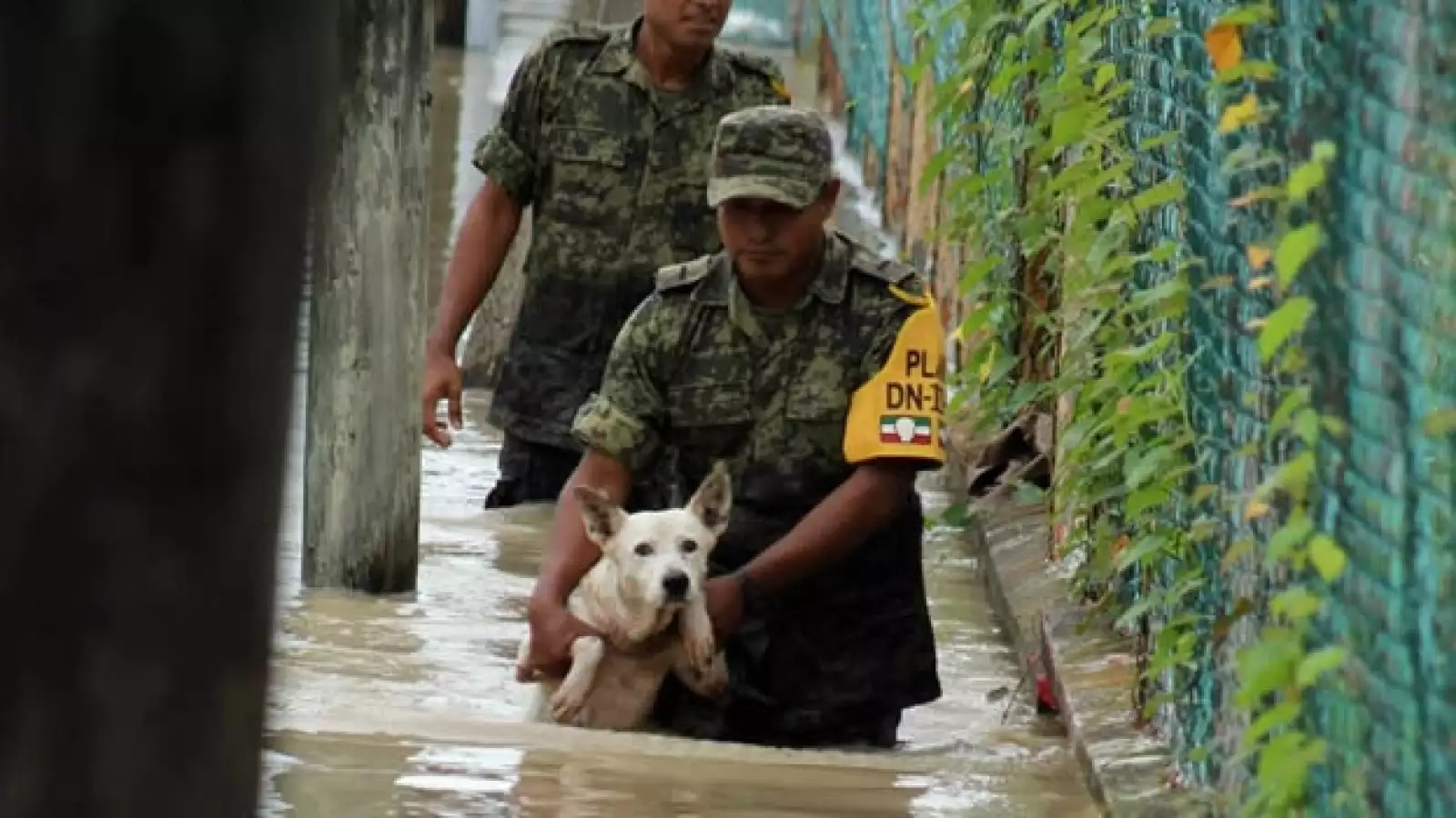 Veracruz padece inundaciones por la tormenta Ingrid