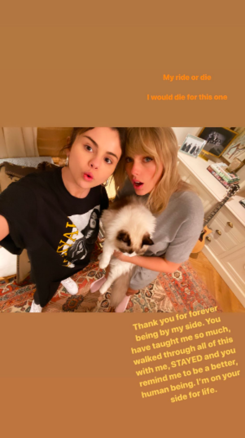 selena-story.png