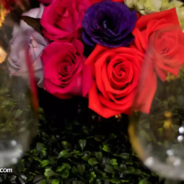 Alejandra Coppel presenta La Vie en Rose en la Boutique Cafe Maison des Fleurs