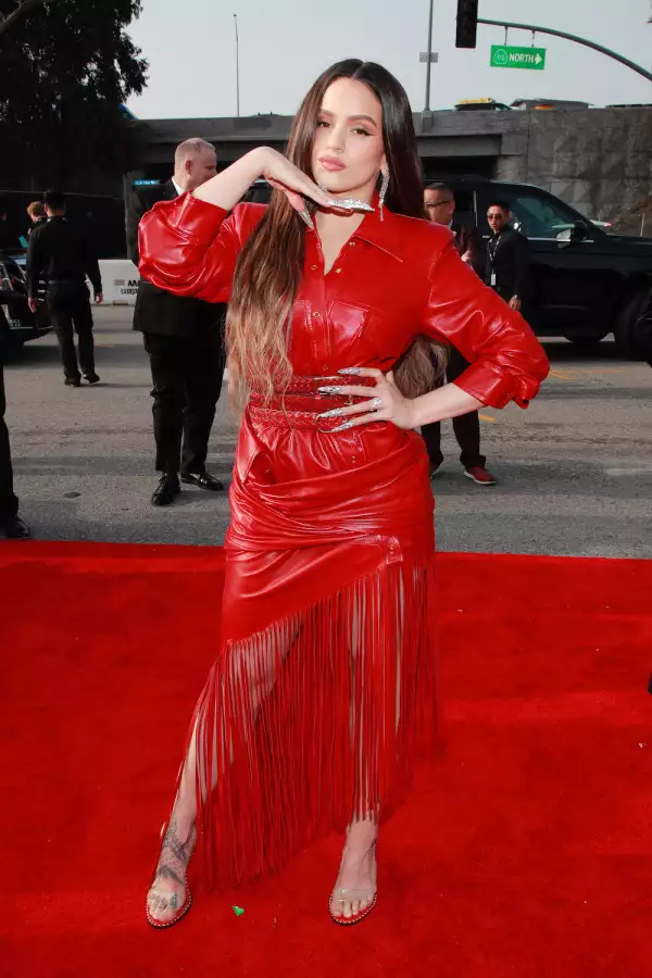 62nd Annual GRAMMY Awards – Red Carpet