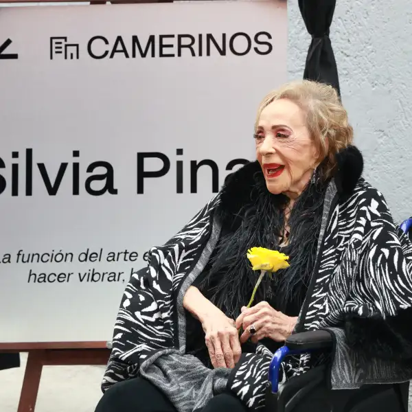  Silvia Pinal