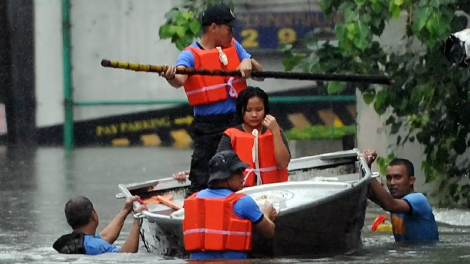 China tifón Usagi 6